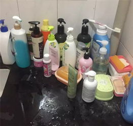 別讓衛(wèi)生間變成雜亂的儲藏室 這份收納秘籍拯救你上千塊的化妝品及衛(wèi)生用品